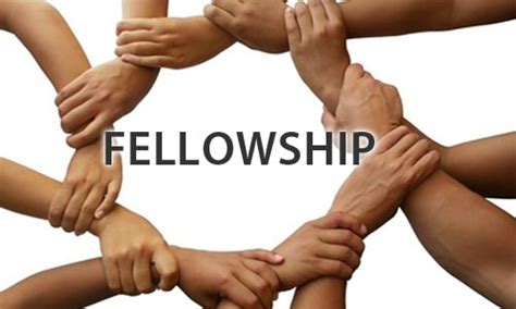 The Bond of Fellowship: Exploring the Power and Importance of Human Relationships